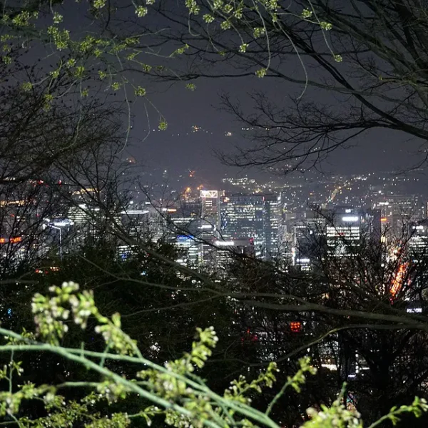 스위트 수지테라스 홈타이 제휴업체 이미지