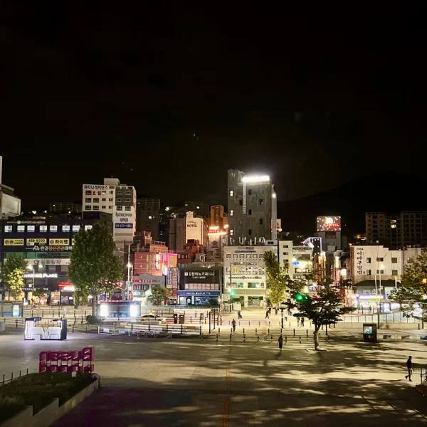 포레스트 새봄아지트 테라피 안내 이미지